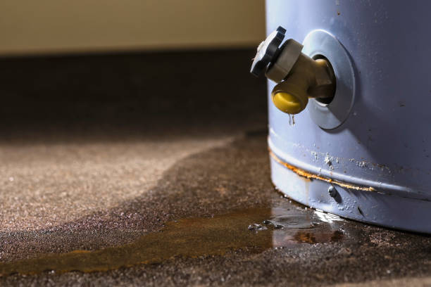 Best Local water damage restoration  in Lynnwood Pricedale, PA