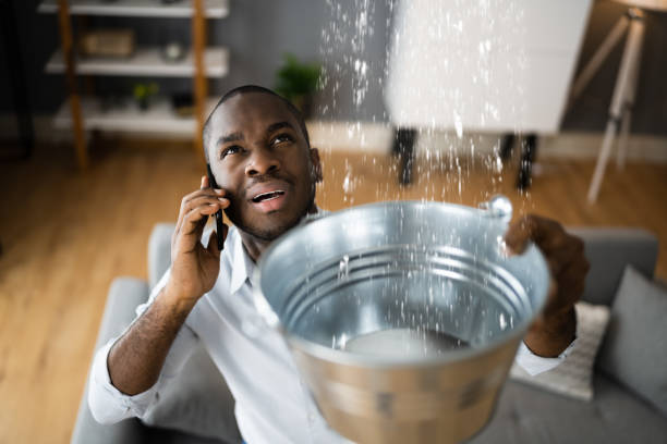Best Carpet water damage restoration  in Lynnwood Pricedale, PA