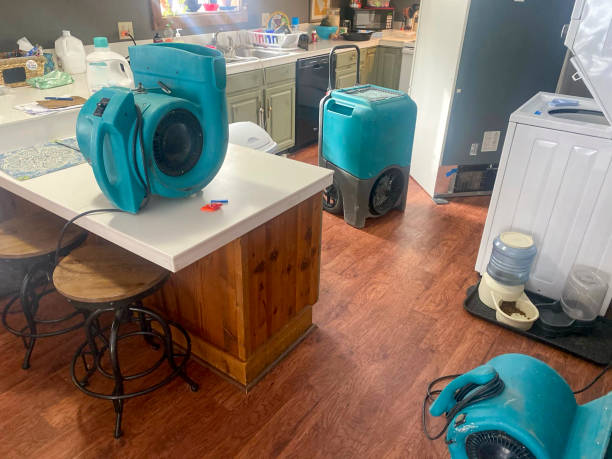 Best Water damage contractors near me  in Lynnwood Pricedale, PA