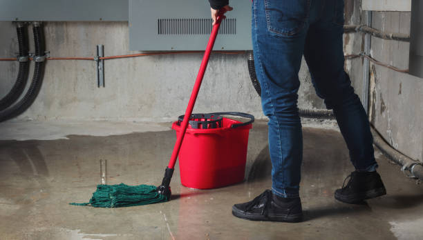 Best Water damage restoration services  in Lynnwood Pricedale, PA
