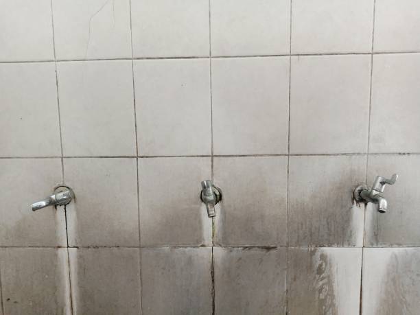 Best Water damage repair service  in Lynnwood Pricedale, PA