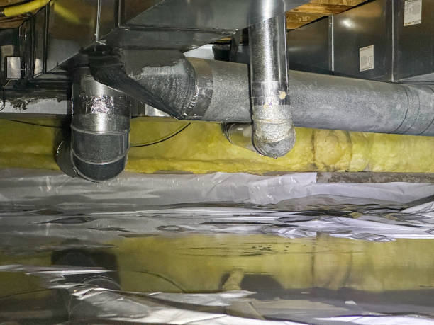 Best Basement water damage restoration  in Lynnwood Pricedale, PA