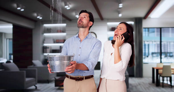 Best Professional water damage repair  in Lynnwood Pricedale, PA